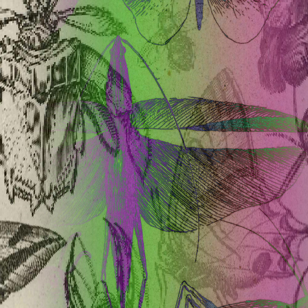 hash insects #8 static token preview