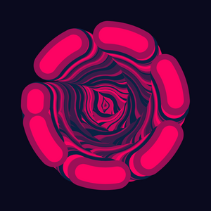 Rabbit hole project preview