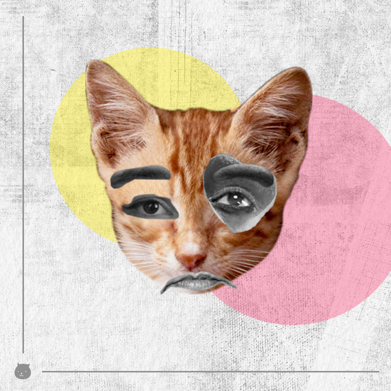 Kittenstein #10 static token preview