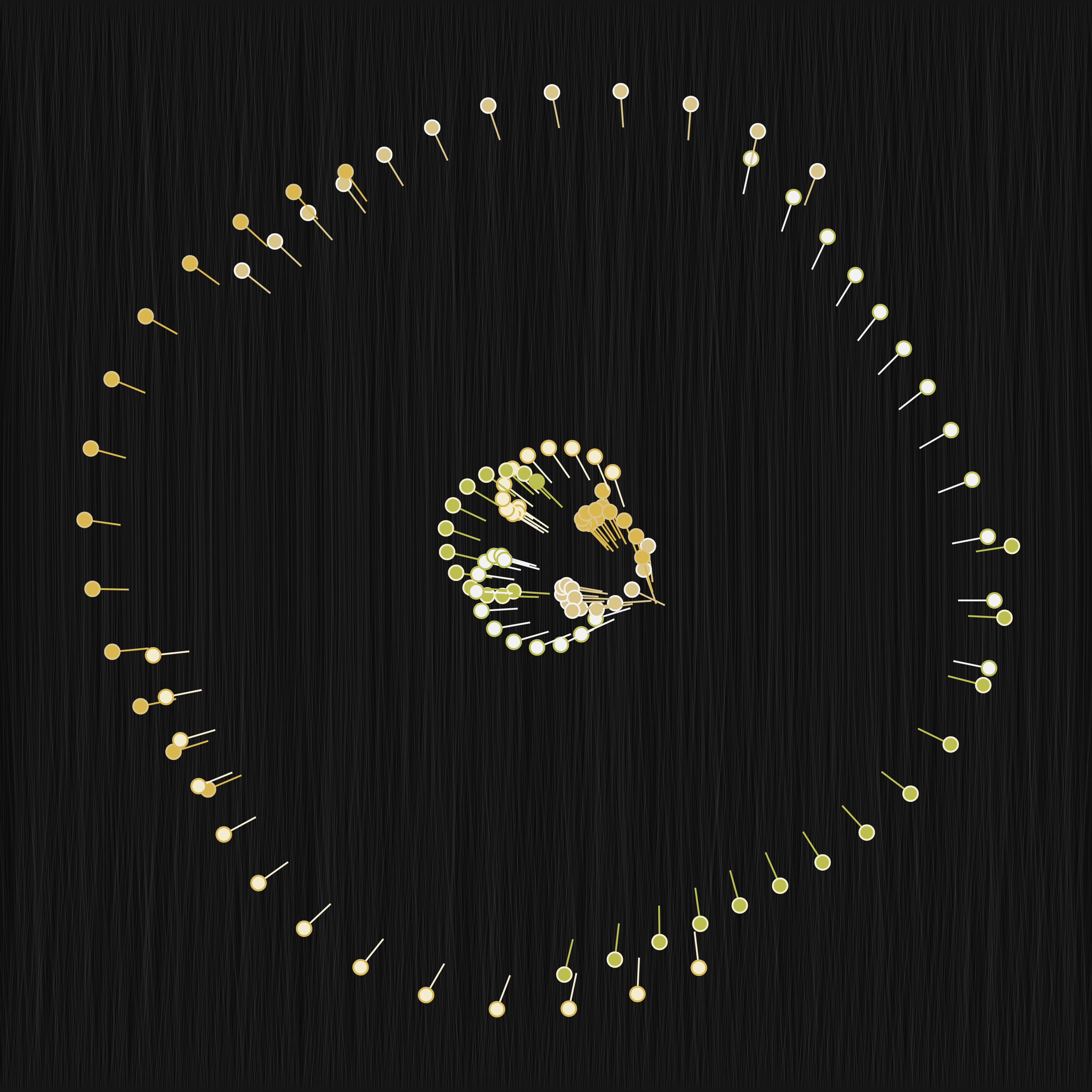 Dance #13 static token preview