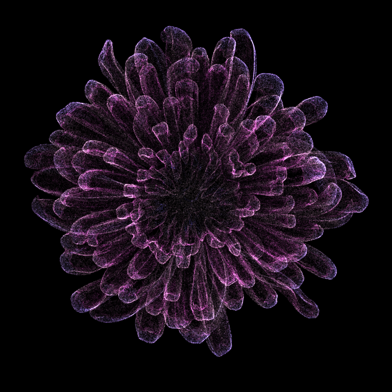 Chrysanthemum Morifolium 30 #3 static token preview