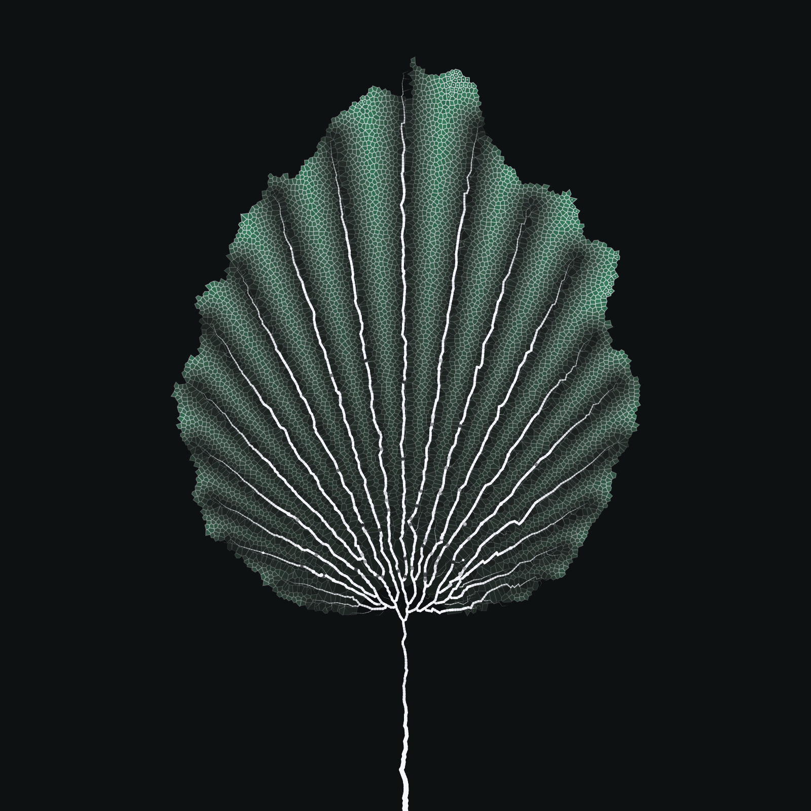 Leaf study #59 static token preview