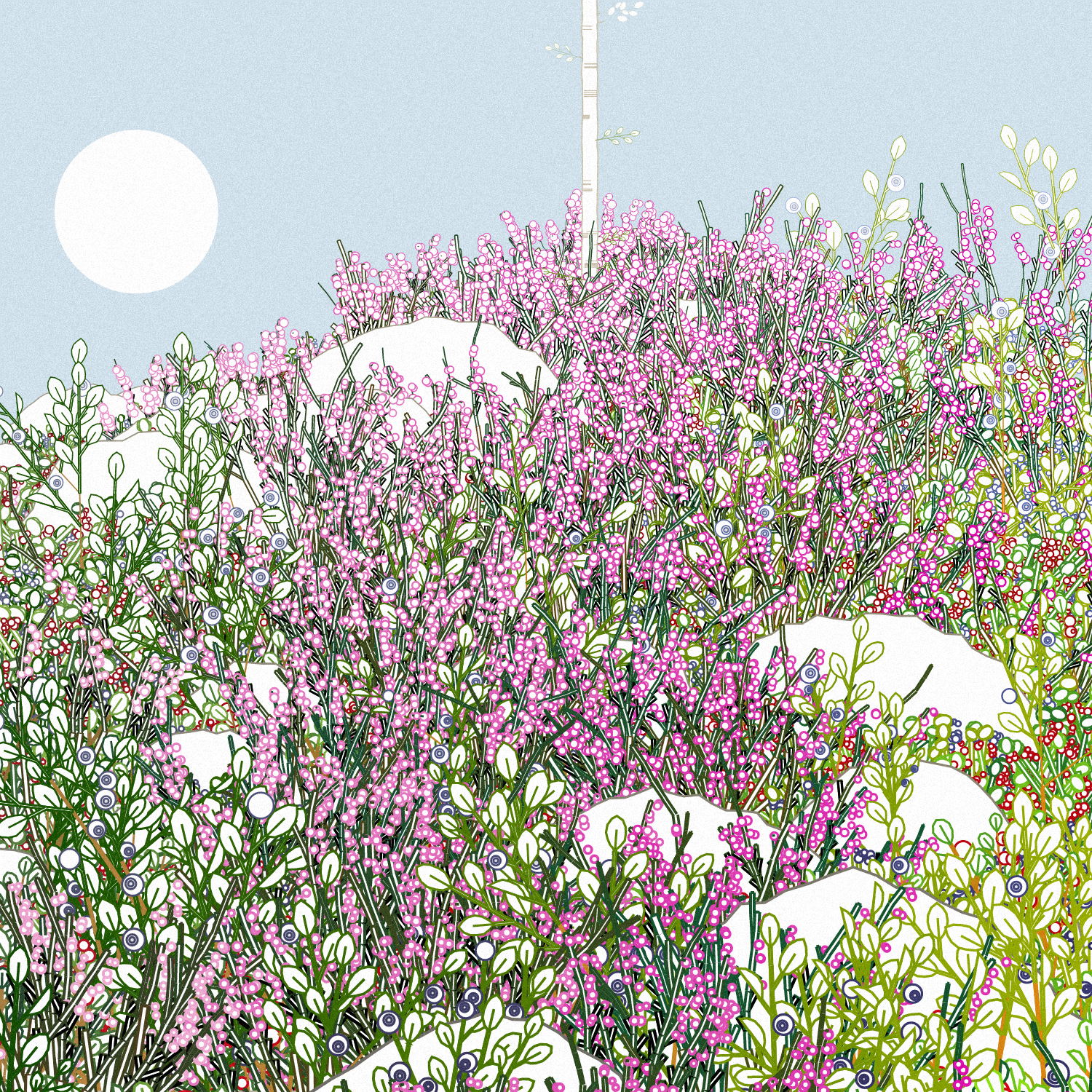 Swedish Forest #14 static token preview
