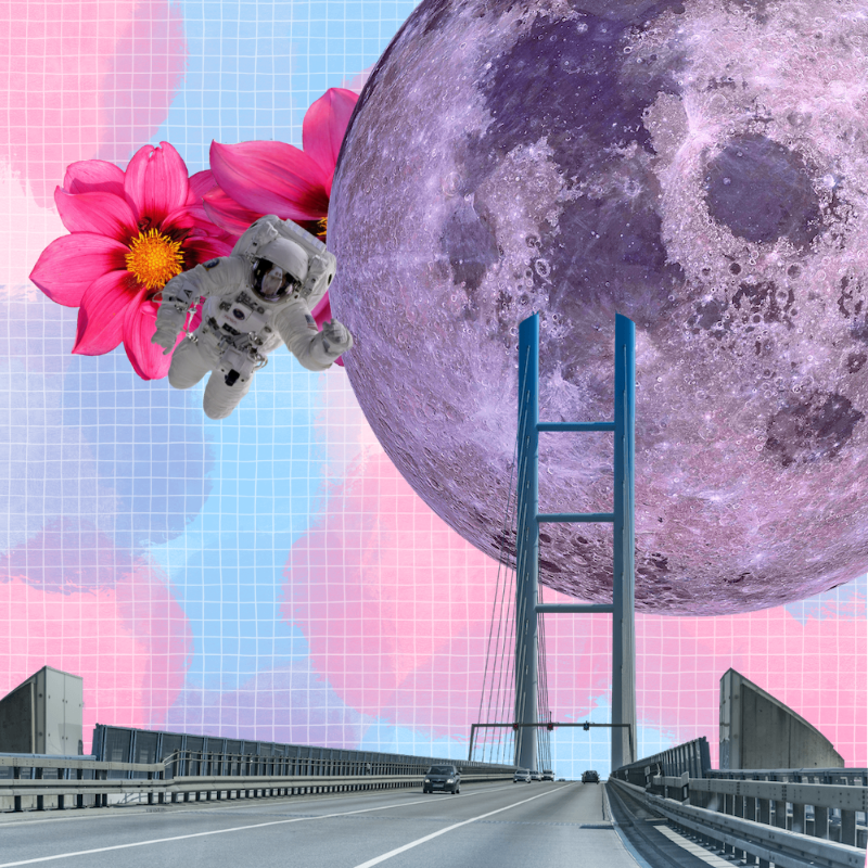 Pink Moon #7 static token preview