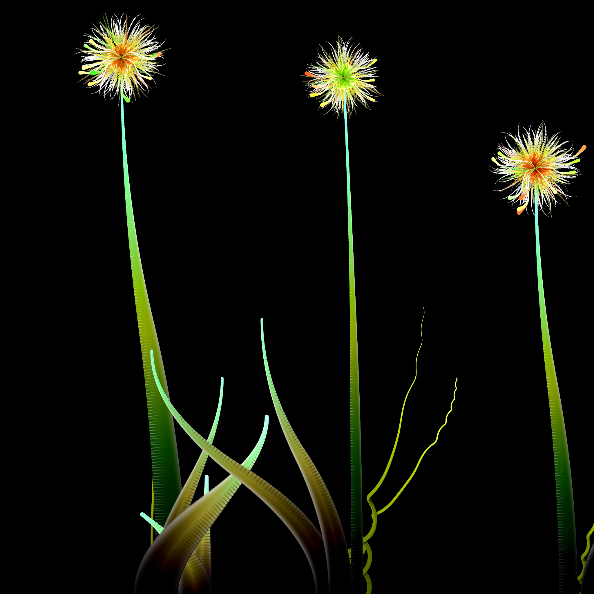Milena’s Flowers #20 static token preview