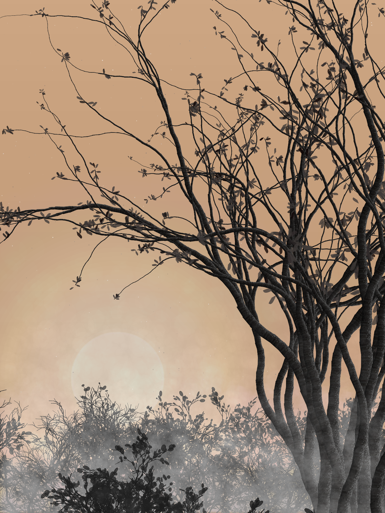 Morning Mist #149 static token preview
