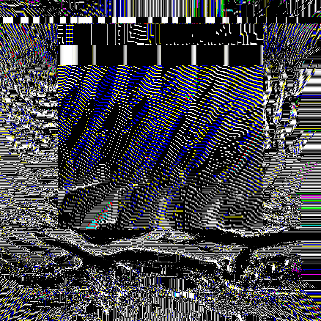 nearest neighbor - genesis #12 static token preview