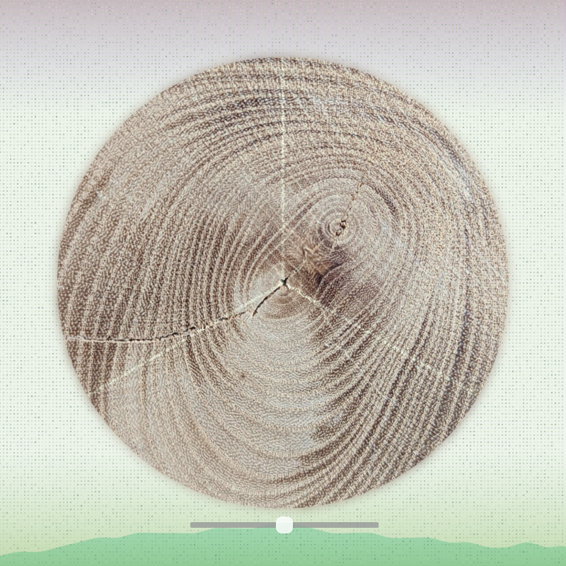 Tree ring waltz #3 static token preview