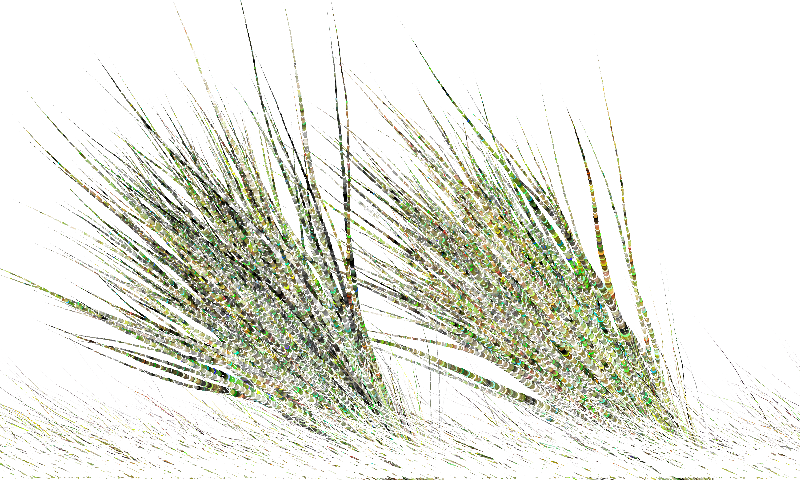 Sketches:Pairs of Tails:Majestic Creatures #24 static token preview