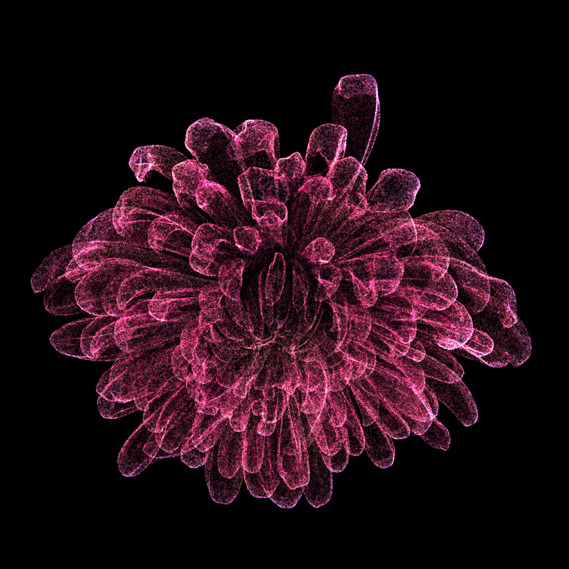 Chrysanthemum Morifolium 30 #17 static token preview