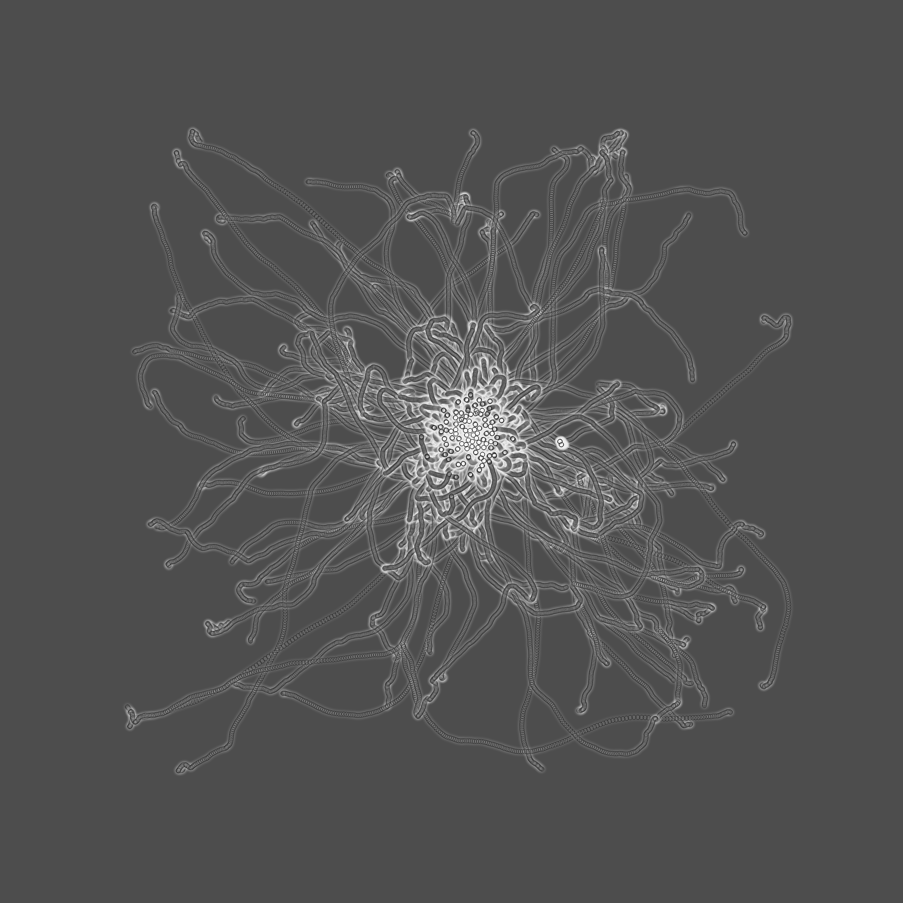 grey fungi wisdom #94 static token preview