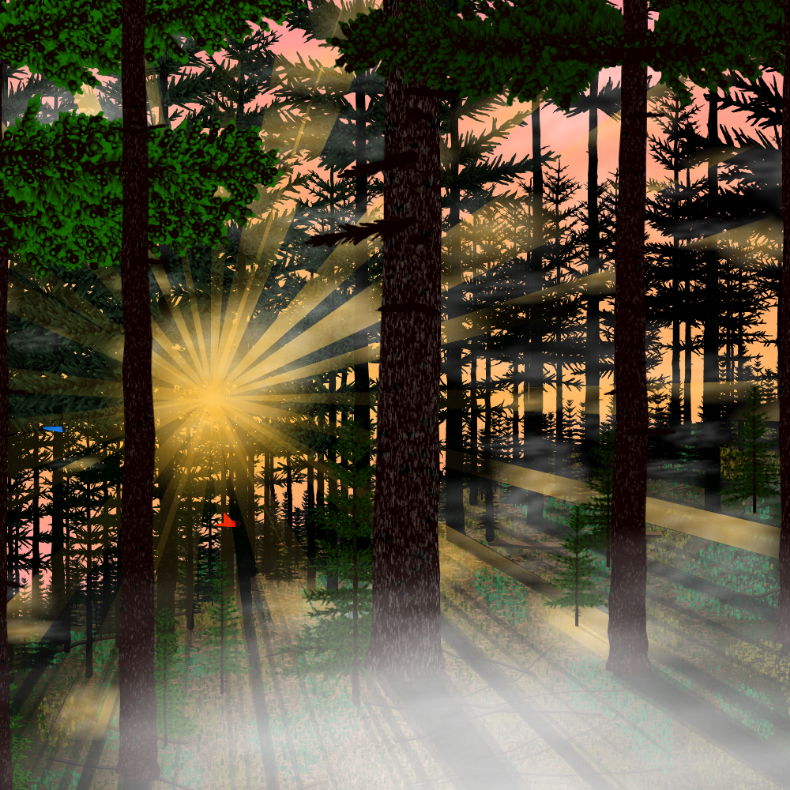 Forest Sunrise #21 static token preview