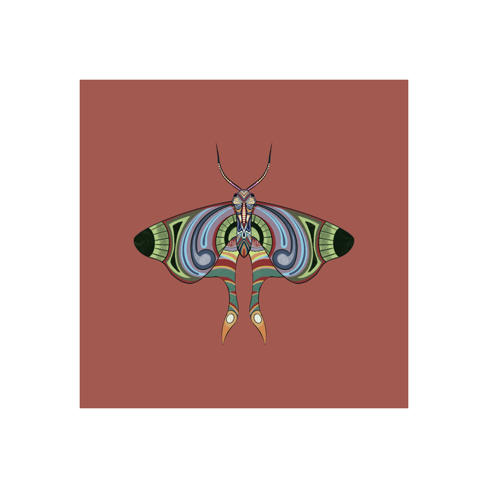 The Moth Experiment #20 static token preview