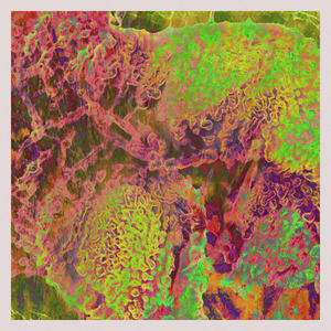 orGANics project preview