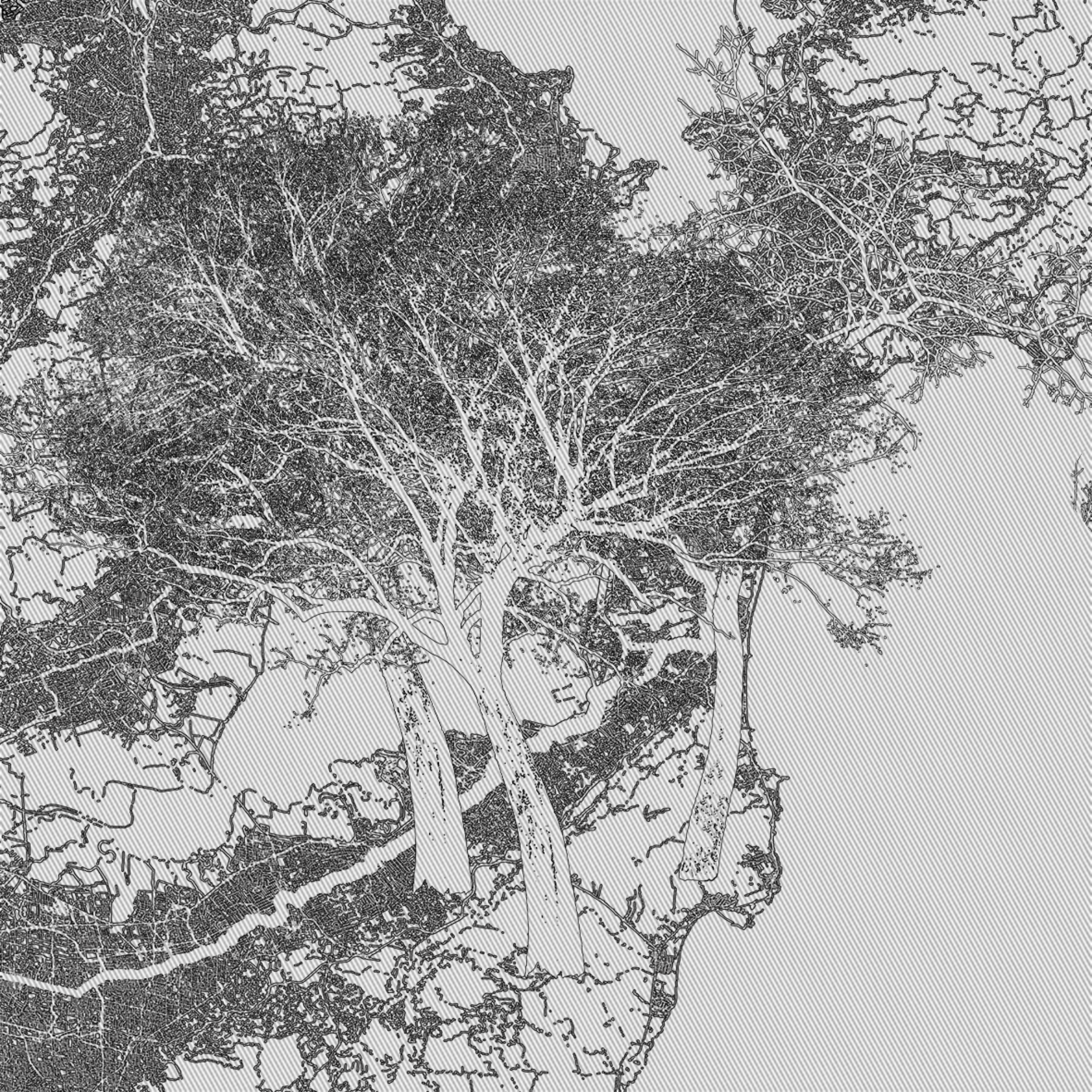 The Forest #16 static token preview