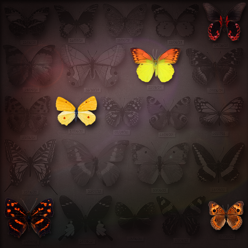 Save Butterfly World #25 static token preview