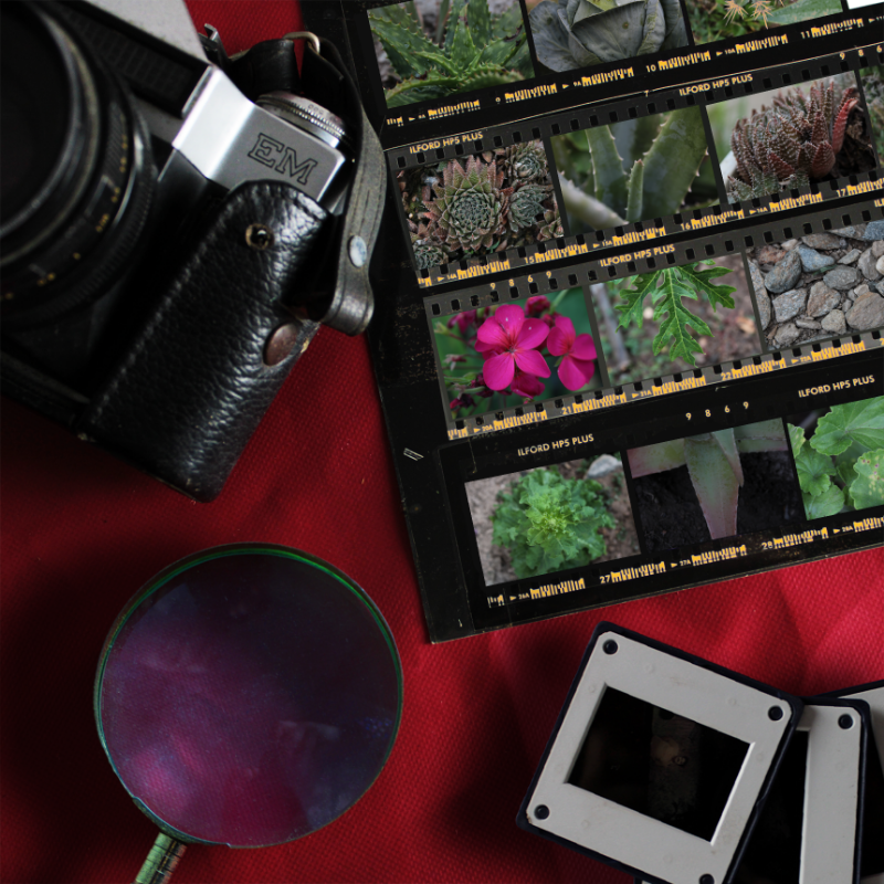 Contact Sheet #5 static token preview