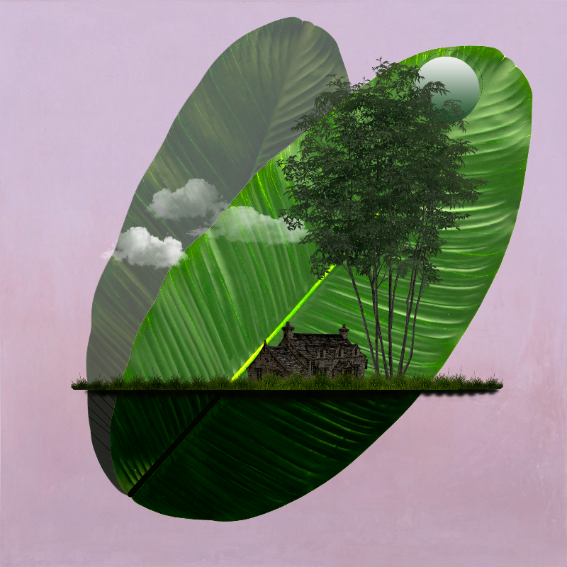 Live in Nature #9 static token preview