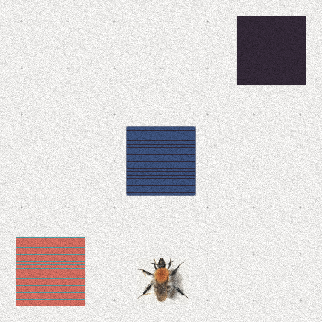 Bee #6 static token preview