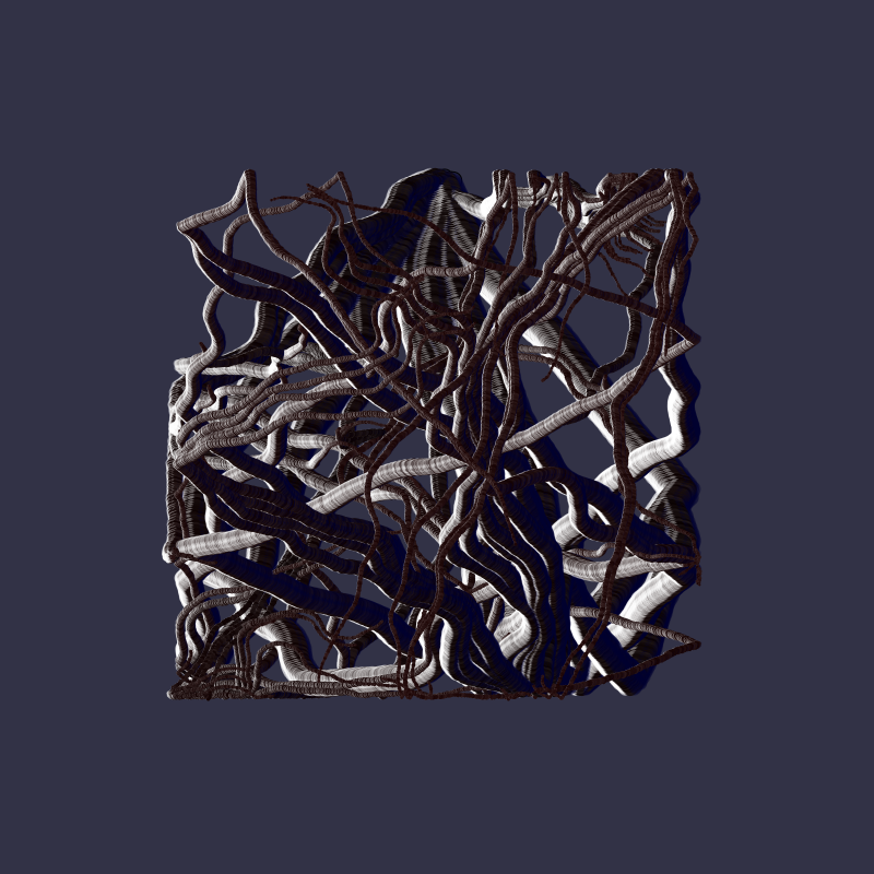 Root #10 static token preview