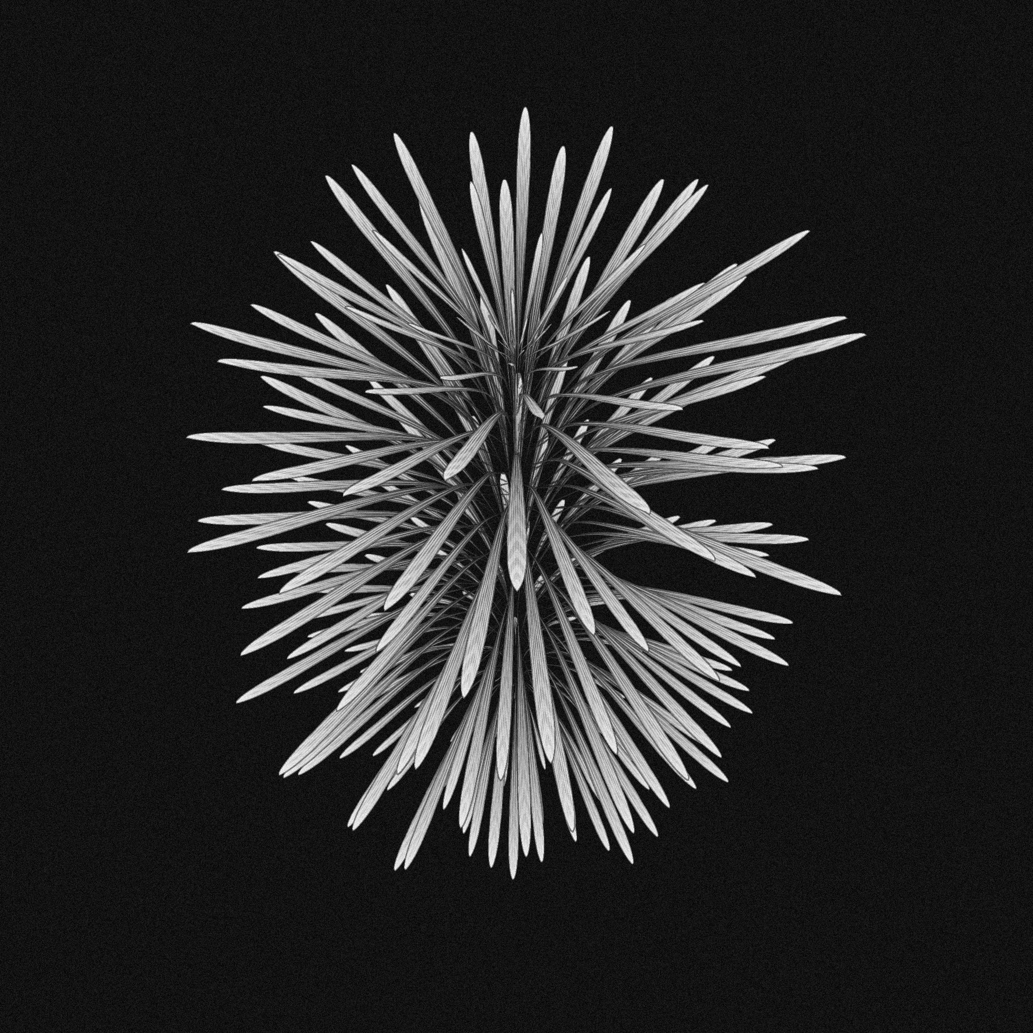 plant #14 static token preview