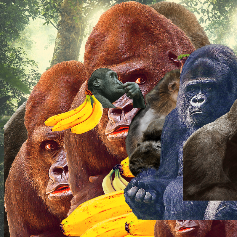 Banana #1 #6 static token preview