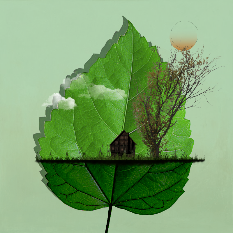 Live in Nature #22 static token preview