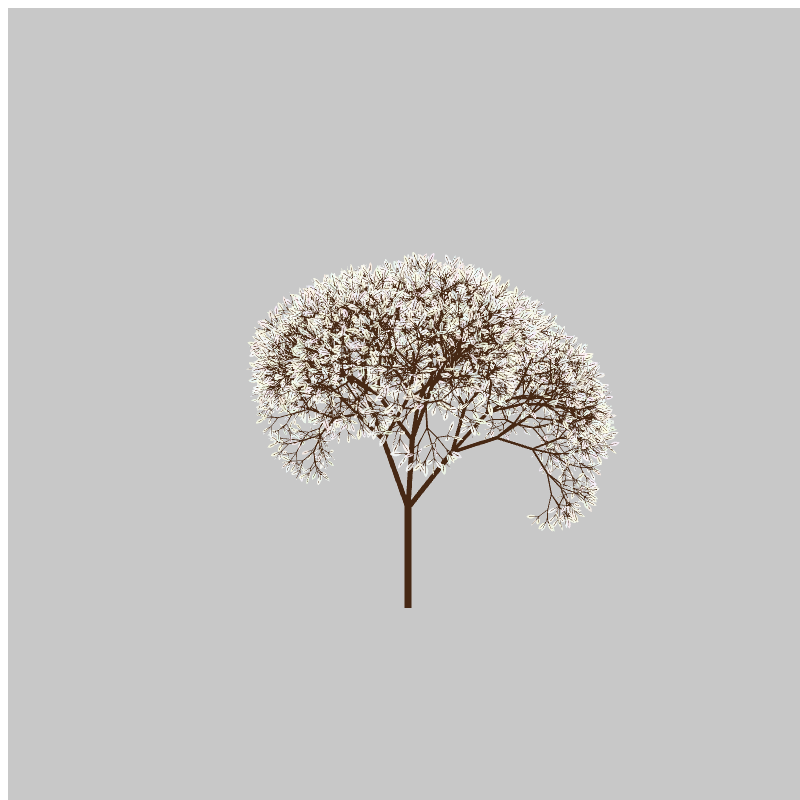 CandyTree #20 static token preview