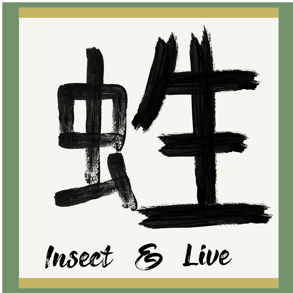 Generative Kanji #9 static token preview