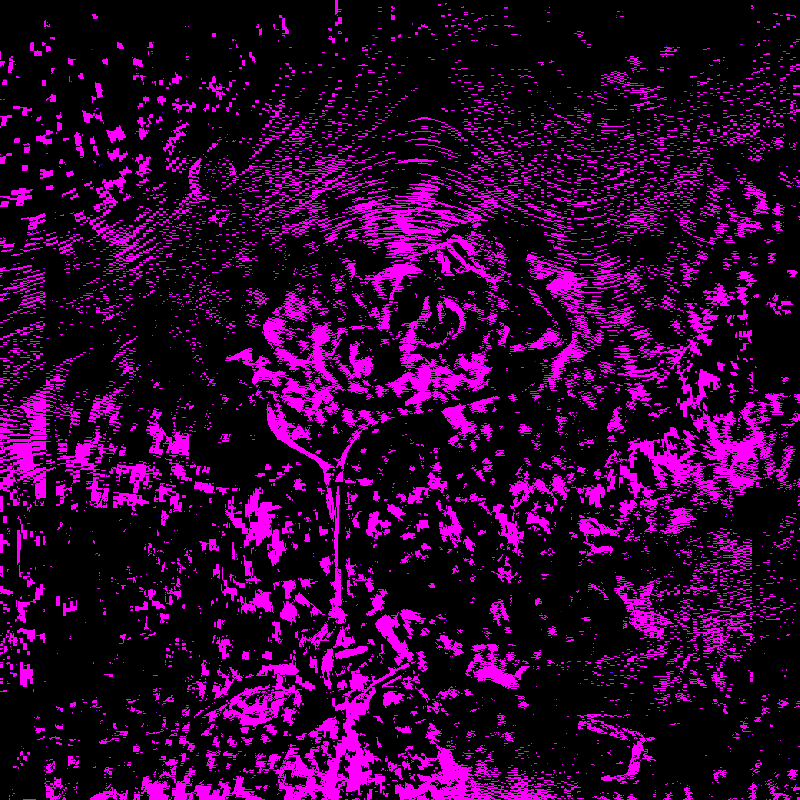 QUANTUM*FLOWERS #19 static token preview