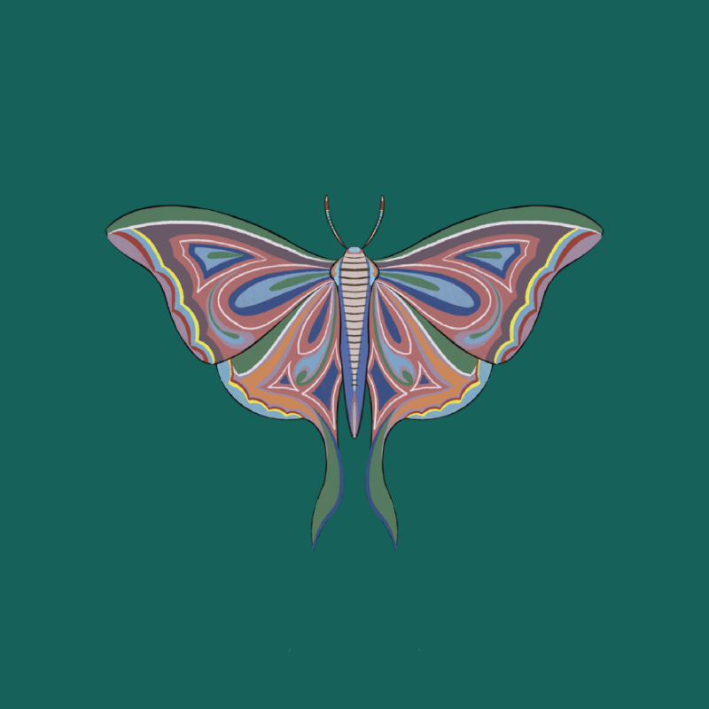 The Moth Experiment 2.0 P2 #1 static token preview