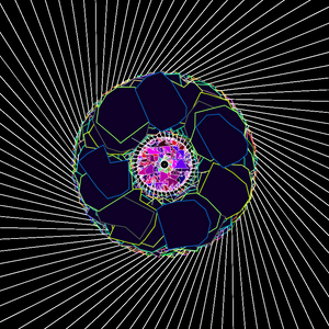 Transcendental Roses project preview