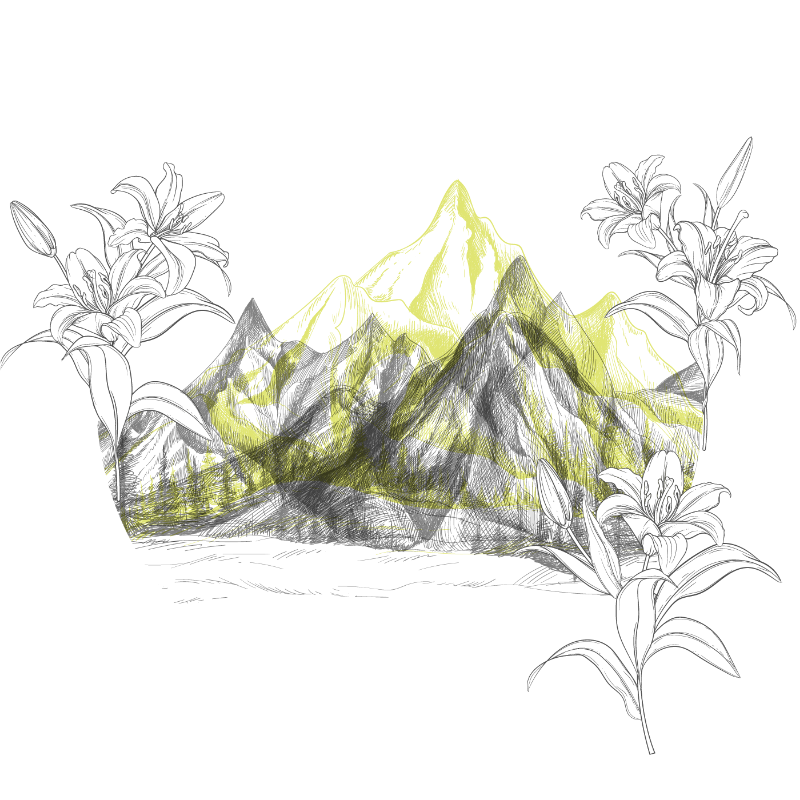 There is never just one peak on a mountain #4 static token preview