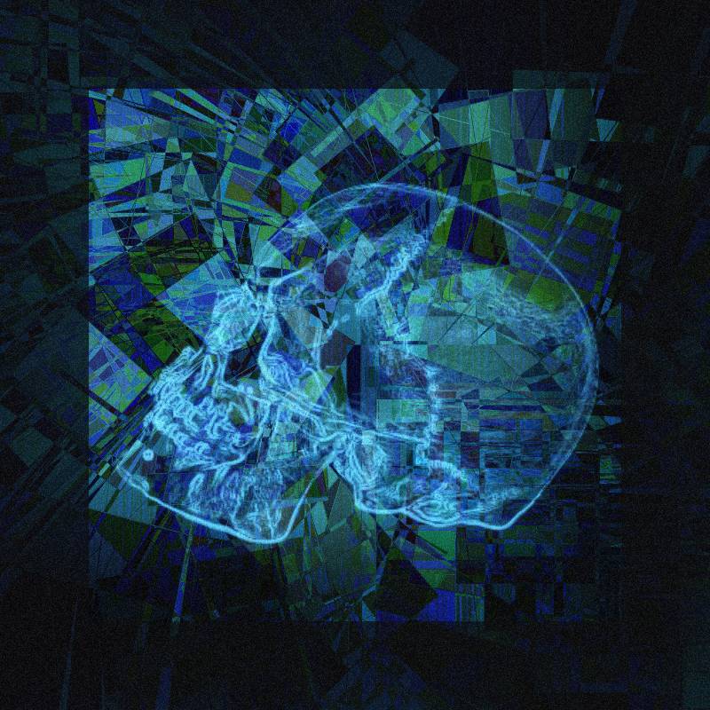 X-ray of a skull #5 static token preview