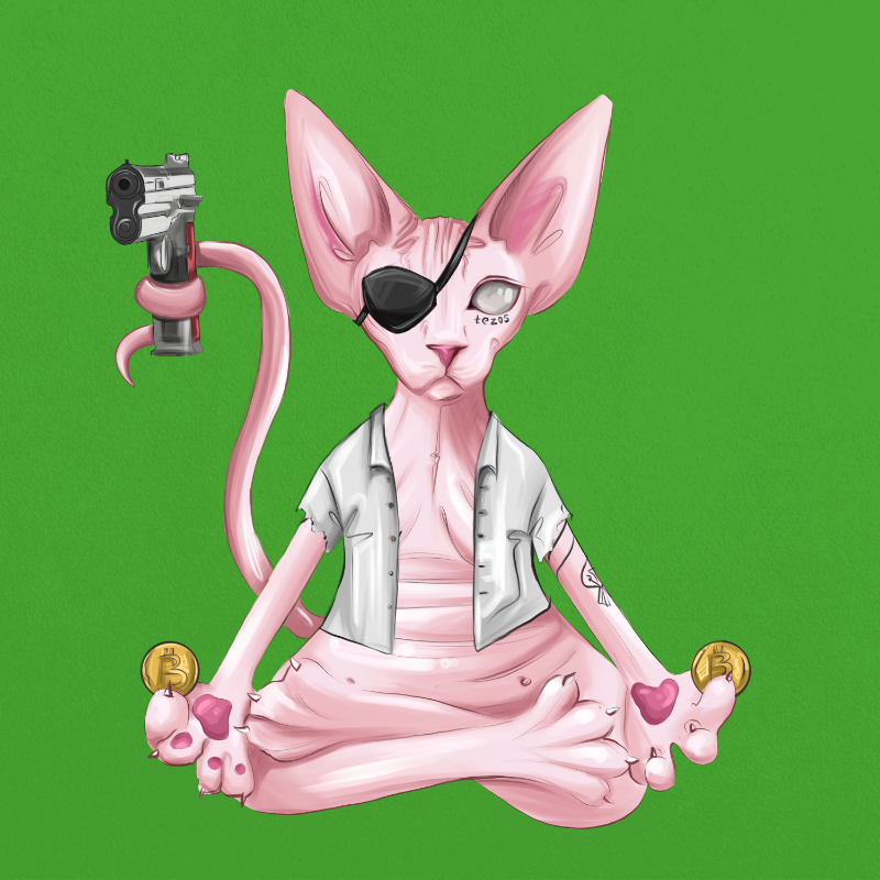 YogaCat #4 static token preview