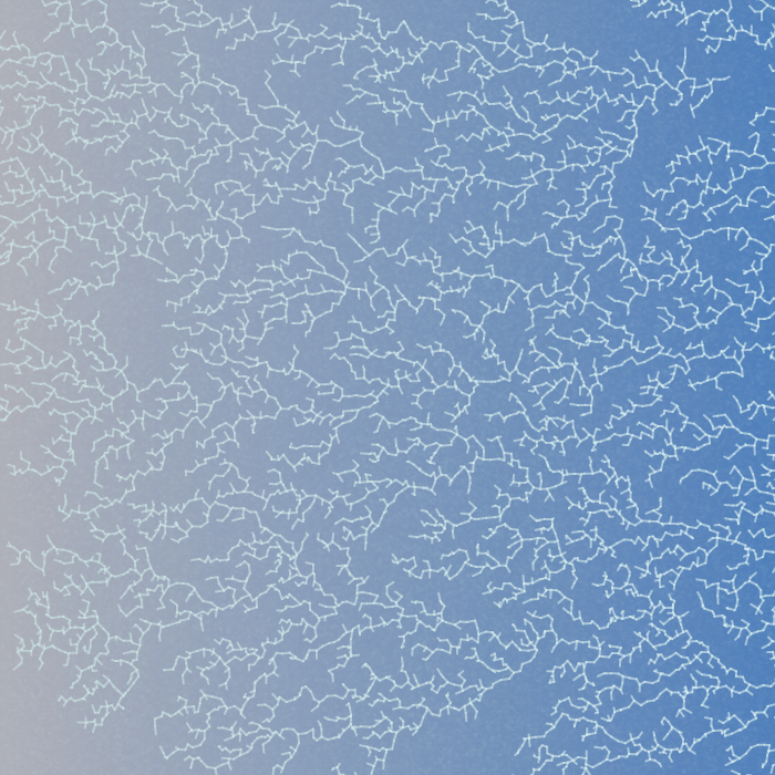 Frozen Windows #14 static token preview