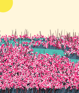 Mega nature#3 project preview