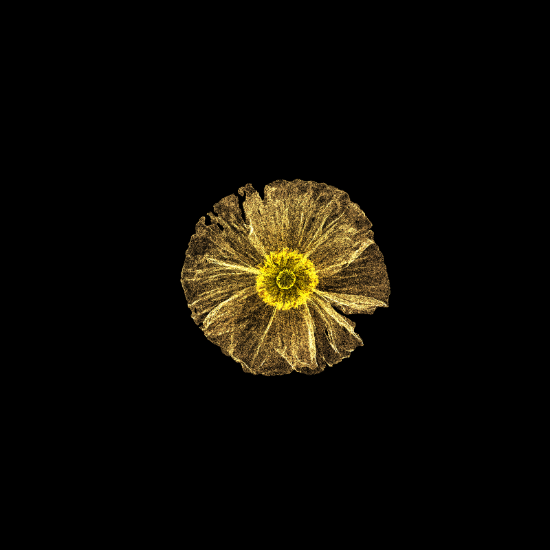 White Poppy 30 #5 static token preview