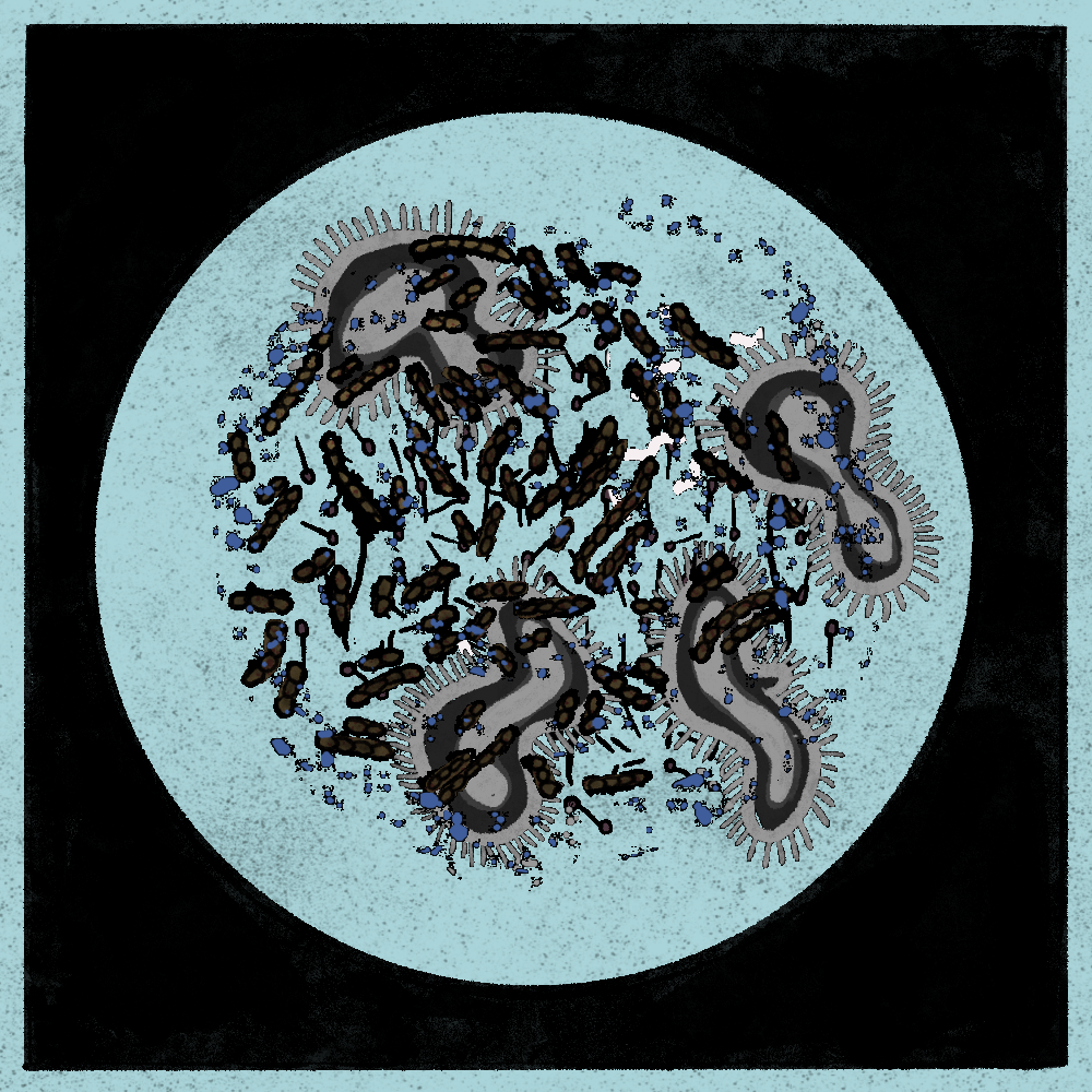 Microbes #12 static token preview