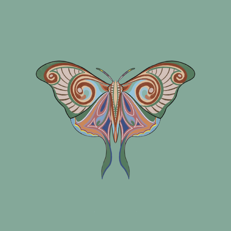 The Moth Experiment 2.0 P2 #13 static token preview