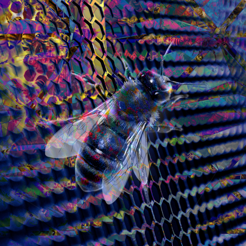 Queen Bee #4 static token preview
