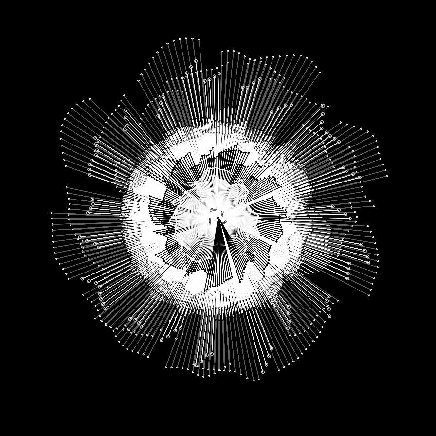 Camellia #5 static token preview