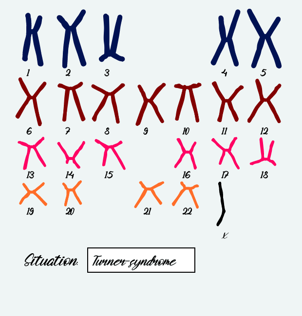 "Karyotype" #9 static token preview