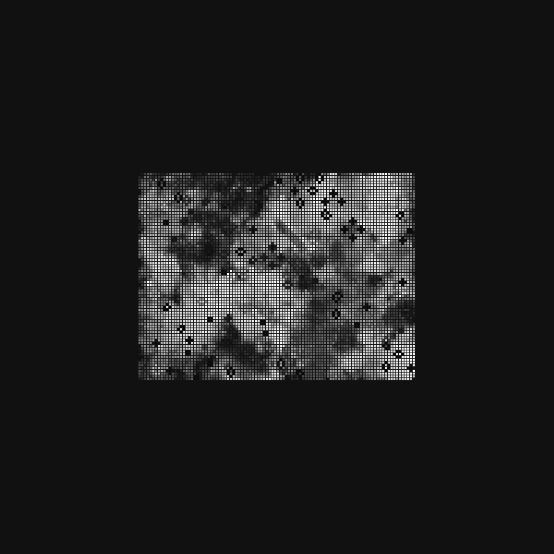 (l)andscape #2 static token preview