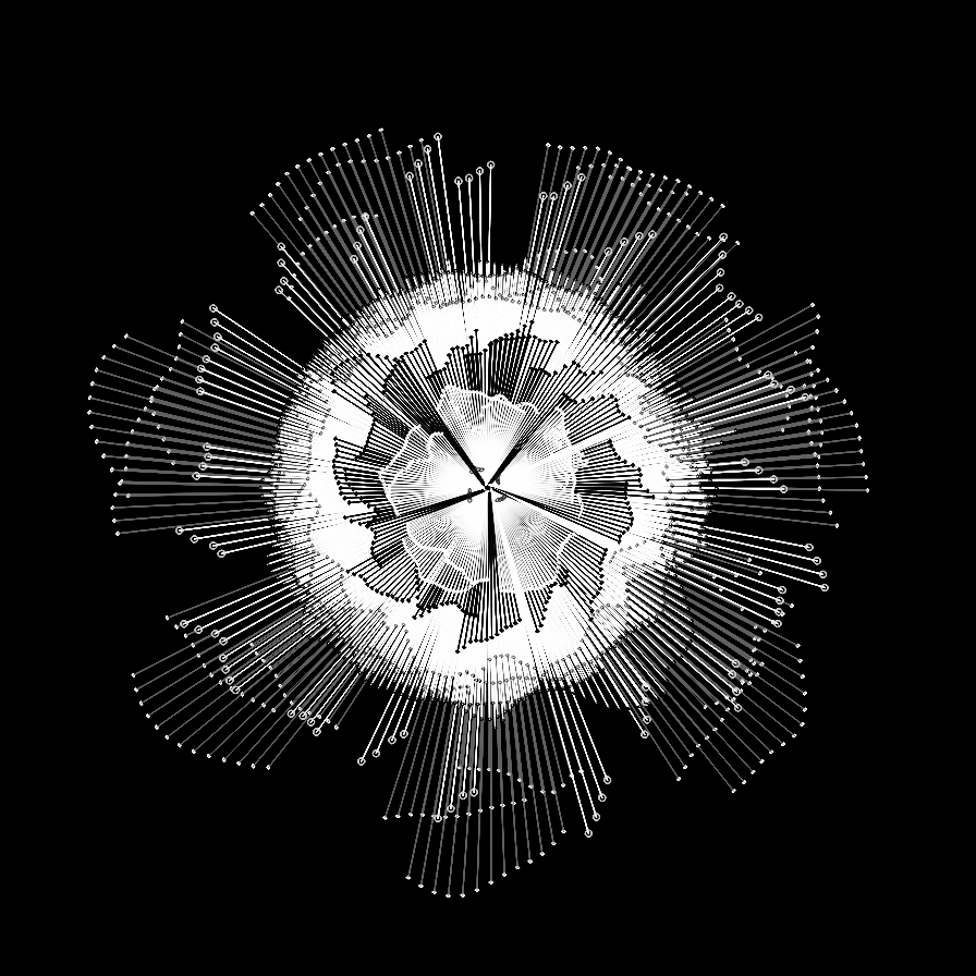 Camellia #10 static token preview