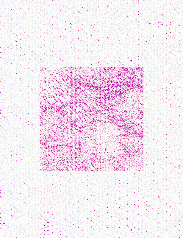 construct//corrupt #23 static token preview