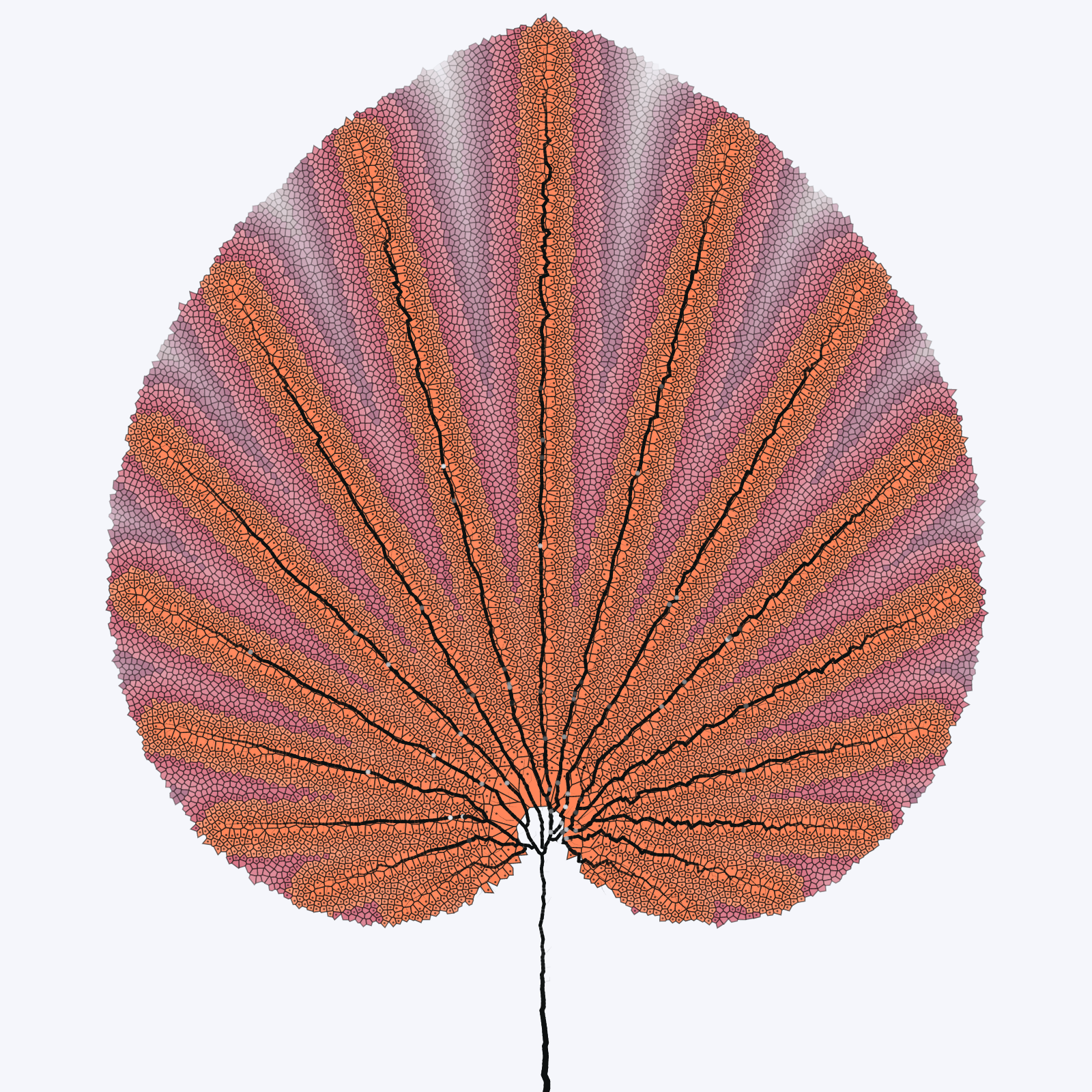 Leaf study #5 static token preview