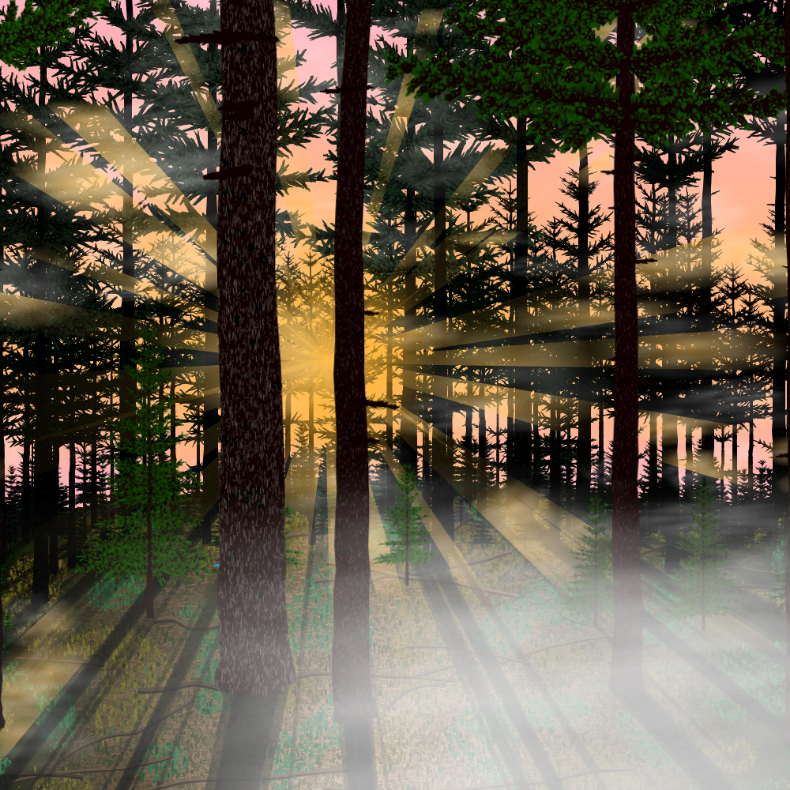 Forest Sunrise #9 static token preview