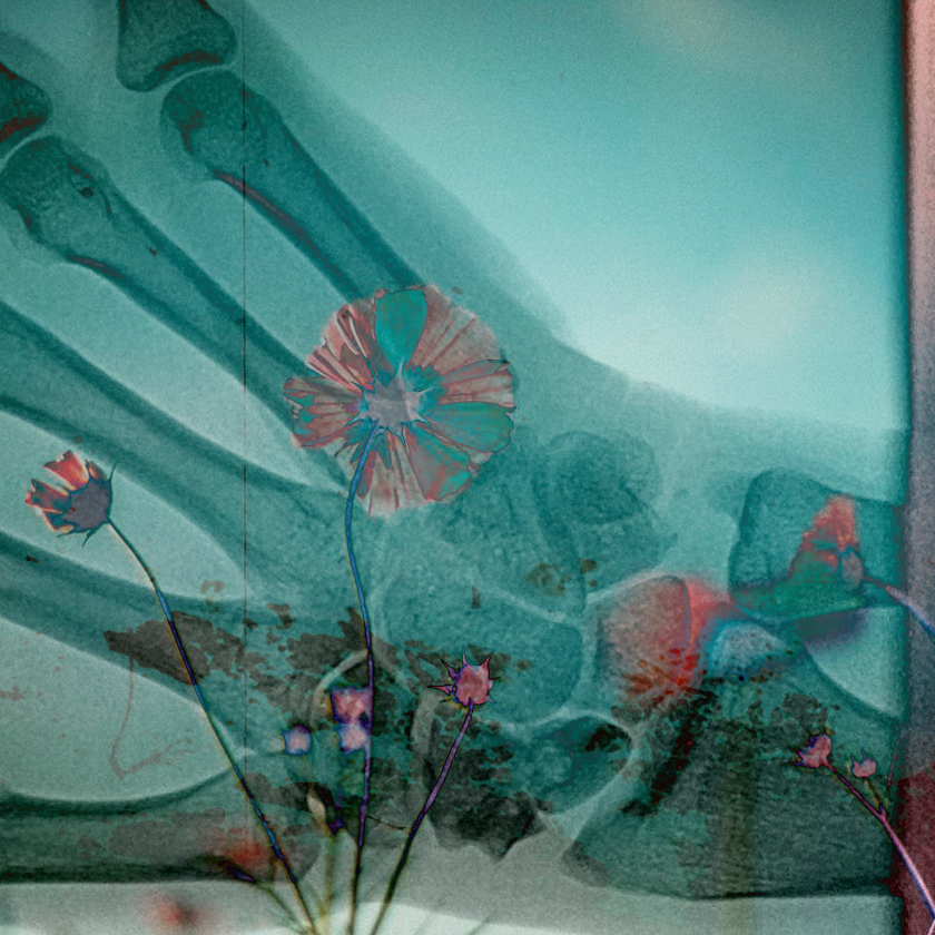 flowers and death #23 static token preview