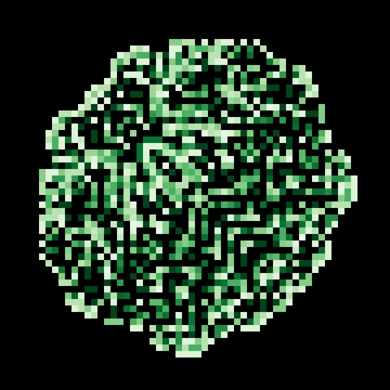 experiment 15 #20 static token preview